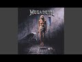 Architecture Of Aggression (1992 Mix Remaster)