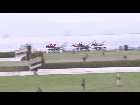 BR, 13. 4. 2019, 6. dostih - Jarní moravská míle CENA LOKO-TRANS s.r.o.