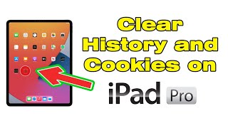 How to Clear history and Cookies on iPad Pro