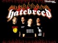 Hatebreed - Give Wings To My Triumph