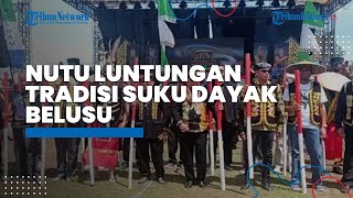 Nutu Luntungan Tradisi Suku Dayak Belusu, Pembuatan Luntungan Butuh Waktu Dua Bulan
