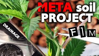 META SOIL PROJECT EPISODE 2 - FIM & DRAINAGE