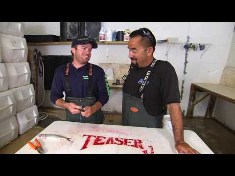 Fly Zone Fishing J-hook Ballyhoo Rig