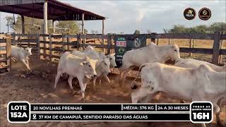 Vídeo LOTE 152A