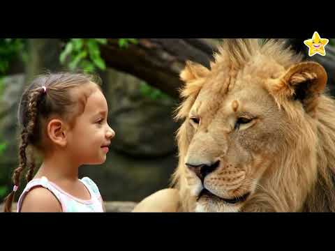 The Most Hilarious Animals In The Zoo