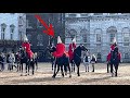 Naughty Horse