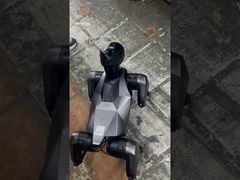 Chó thông minh Xiaomi CyberDog 2 | Trí tuệ nhân tạo, siêu cảm biến & bộ cơ khí động lực truyền động CyberGear