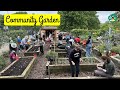 How To Start A Community Garden In Your Neighborhood How To Start A Community Garden