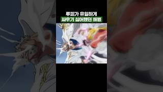 원피스) 루피가 유일하게 싸우기 싫어했던 해병 #원피스