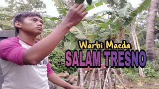Download lagu Suaranya hampir mirip sama penyanyi aslinya - Salam Tresno (cover) Warbi Maeda - New Star Nada mp3