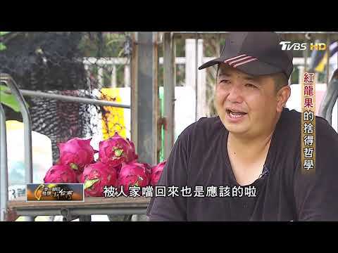 紅龍果的捨得哲學 一步一腳印 20180826