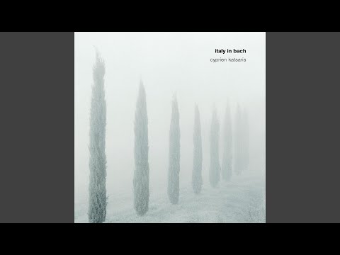 Concerto in G Minor, BWV 975 - Based on Antonio Vivaldi's Concerto in G Minor, RV 316: I. -