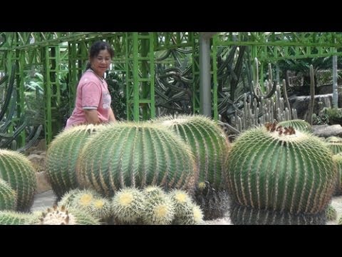 Парк Нонг-Нуч