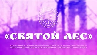 Pinkshinyultrablast "Holy Forest (Waldeinsamkeit Remix)" by Mahogany