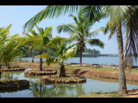 Paravur Lake House - Paravur - India