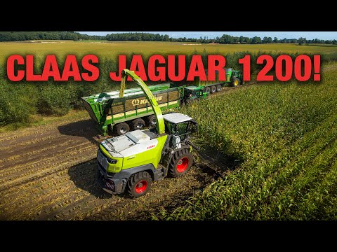 NEW CLAAS JAGUAR 1200 | PREMIERE im FELDEINSATZ! | Maisernte | John Deere 6250R | Maishäckseln 2025
