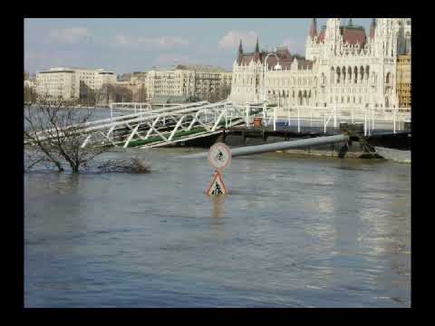 Estupidos -  Advance Patrol  "Album - utskrivna"