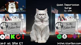 Quiet Deportation Surge | In the Litter Box w/ Jewels & Catturd – Ep. 1084 – 8/27/2026