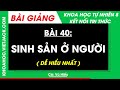 Bài 40. Sinh sản ở người