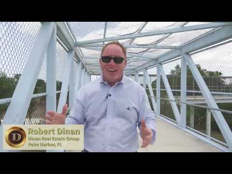 Palm Harbor, Florida: Your Next Florida Adventure