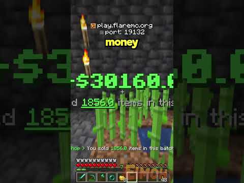 How to get RICH on the Public Lifesteal SMP!