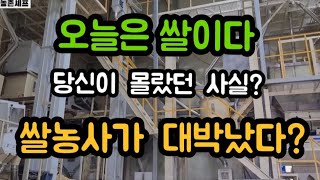 우리의쌀이 점점줄어든다? 확실히 벼를 재배하는 비울이 줄어들고있네요 .ㅠ.ㅠ. #쌀수확추수 #rice #쌀값…