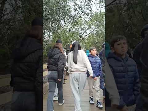 El increíble Salto El Laja, región del Bío Bío, Chile #travel #invierno #naturaleza #turismo #paz