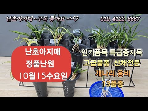 유튜브 썸네일