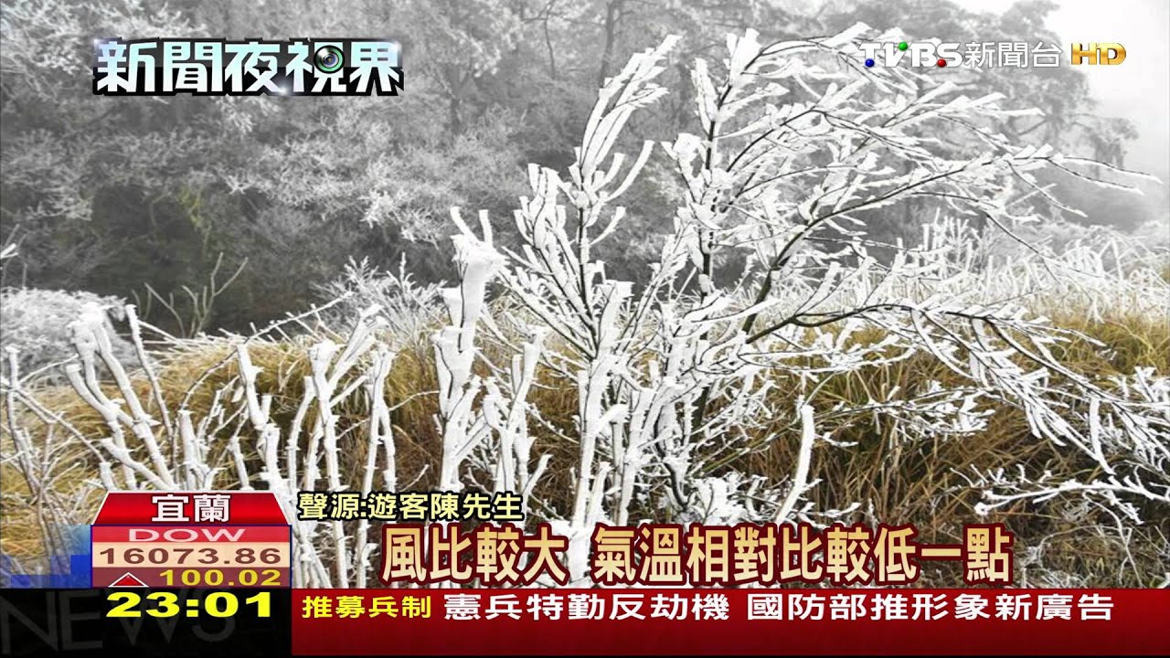 又見雪白美景！　思源啞口草木披白衣