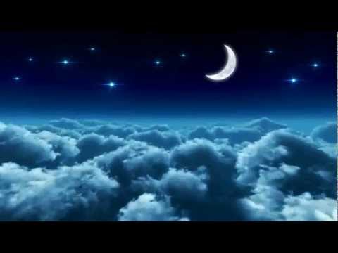 Der Kreislauf des Lebens