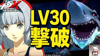 【P5X】ペルソナ５: The Phantom X サヒモチノカミ LV30【ネタバレ注意】