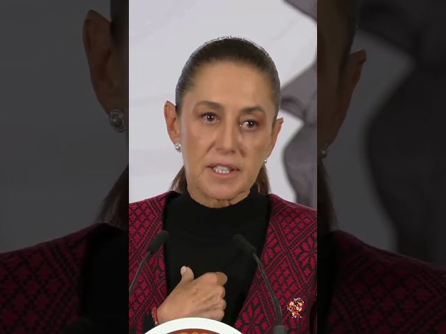 Why Is Mexico Asking the US to Investigate ICE Deaths? | Claudia Sheinbaum Explained