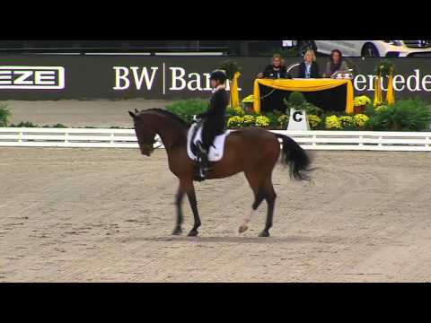 STUTTGART GERMAN MASTERS - Preis der Firma Stihl