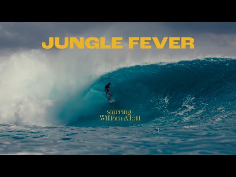 JUNGLE FEVER - WILLIAM ALIOTTI MENTAWAI