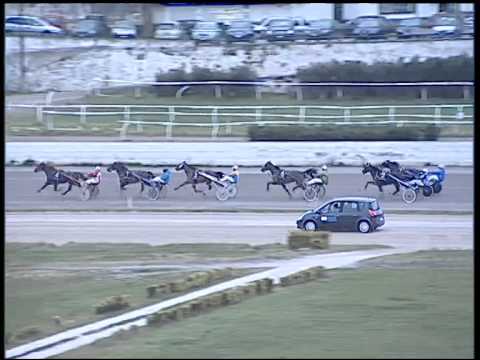 Trotto 29/01/2015 - 4° Corsa