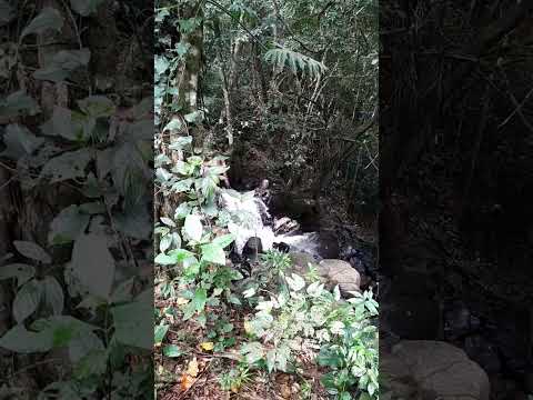 Jardim Botânico em Rio do Sul, Santa Catarina, Brasil