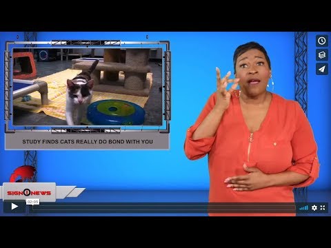 Study finds cats really do bond with you (ASL - 9.24.19)