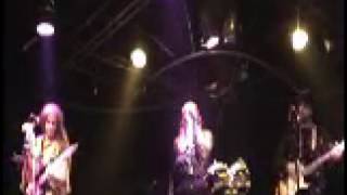 Shine - Sunflower Sutra