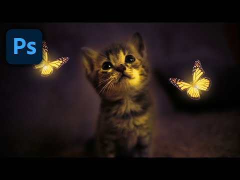 A Cat: Fantasy Photoshop Manipulation Tutorial