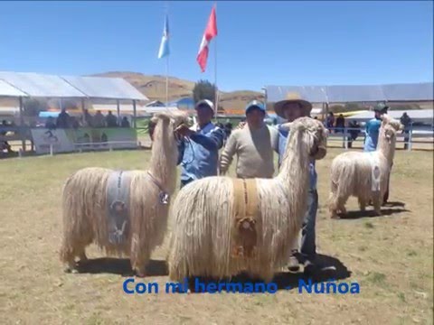 Corazoncito - Clavito Y Su Chela