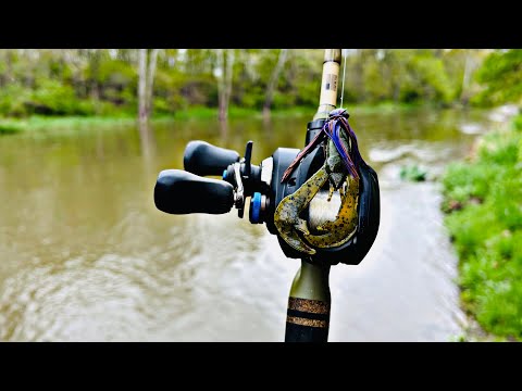 WHAT I USE WHEN IT’S FLOODED!!!(Big Smallmouth/Bank Fishing)