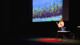 Stop treating our soil like dirt! | Karen Wynne | TEDxHuntsville