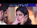 Husband & Wife Best Moments - Sonia Mishal - Junaid Khan - ARY Digital Drama