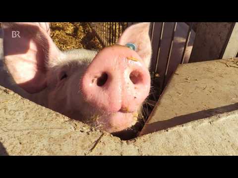 Energie-autarker Bauerhof | BR24