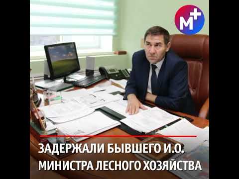 Экс-министра РМ повязали за откаты и мошенничество. В 17-летнего парня выстрелил отчим из ружья