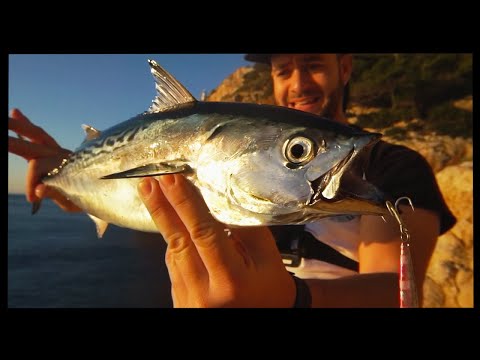 BACORETAS a SPINNING desde COSTA 𝙊𝘽𝙅𝙀𝙏𝙄𝙑𝙊 𝘾𝙐𝙈𝙋𝙇𝙄𝘿𝙊 | ElPOPPERfisher | Salida 28