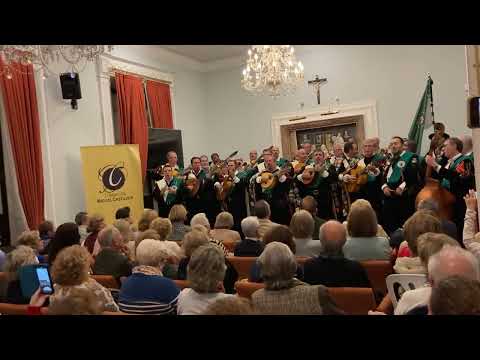 Cordobesita - Cuarentuna de Córdoba