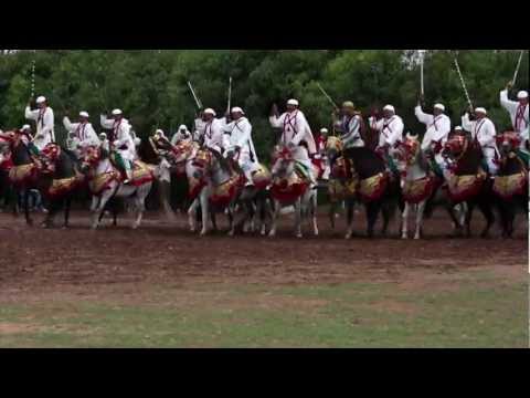 Morocco In Motion - La Tbourida (Fantasia) au Maroc
