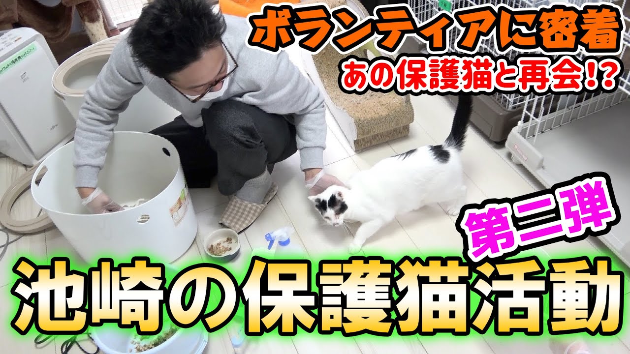【保護猫活動】池崎の保護猫ボランティアに密着!あのスマイルとも再会!?猫おじさん奮闘記(前編)