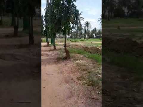 Walkthrough Walkthrough